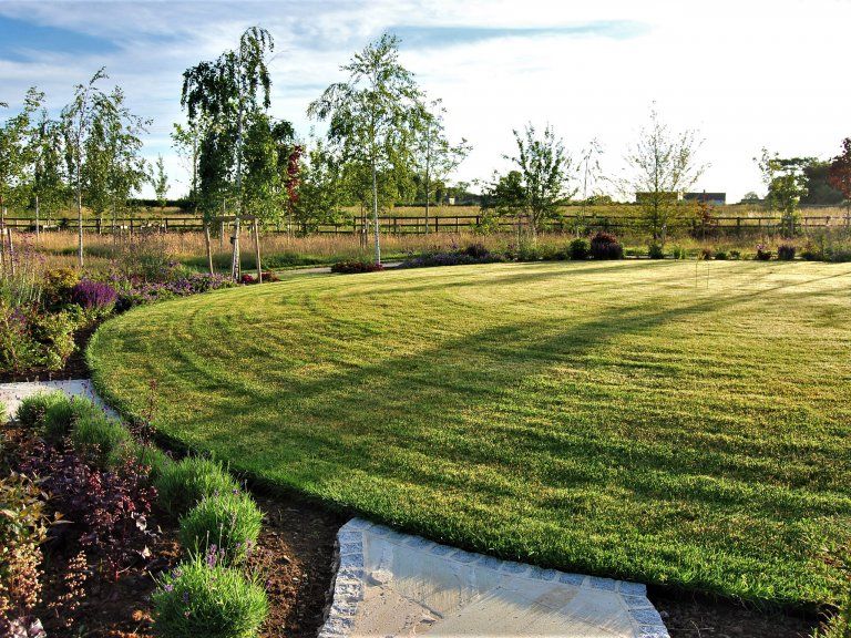 Turf grass landscaping project