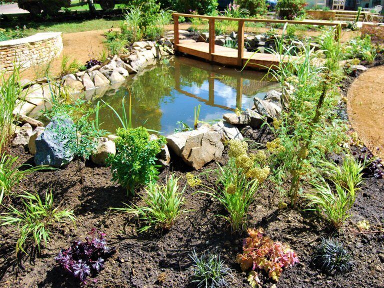 Pond with Rockery bed surrounding it
